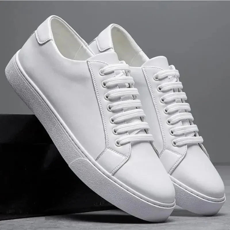 Baskets Hommes Angelo