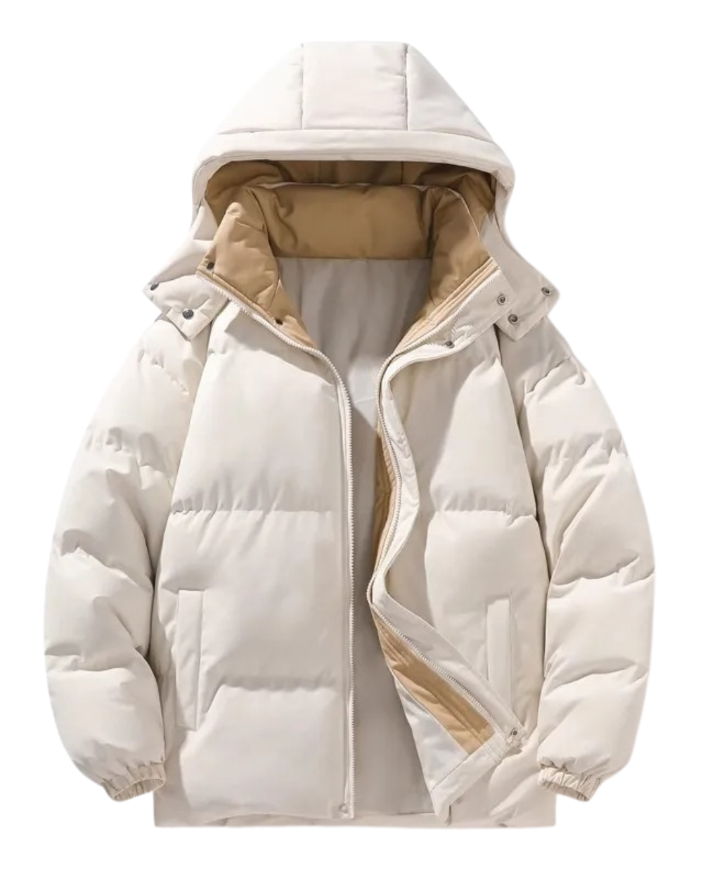Veste élégante à capuche pour hommes